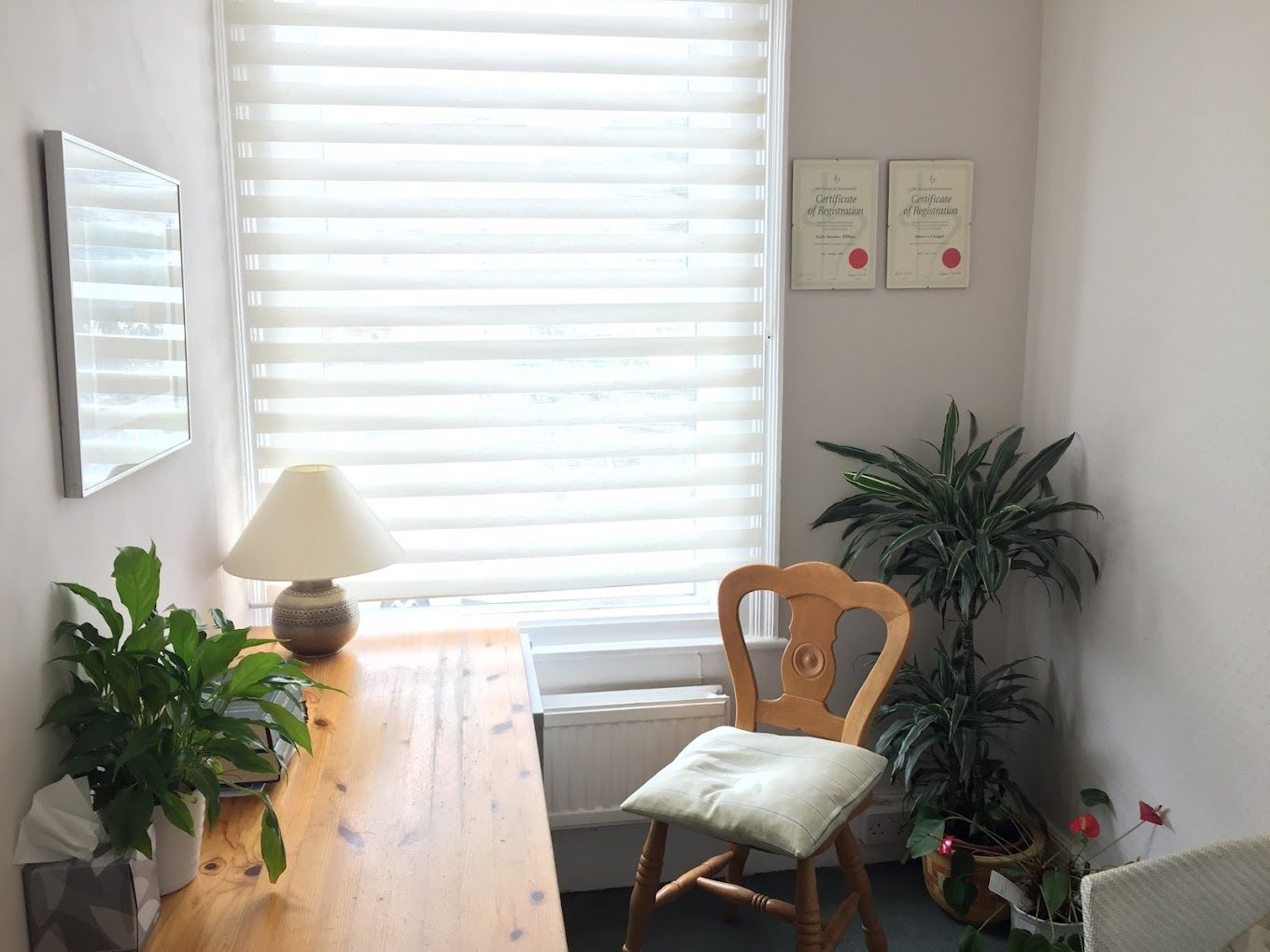 Occupational Therapy Clinic Room